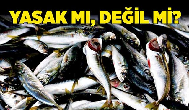 Yasak mı, değil mi?