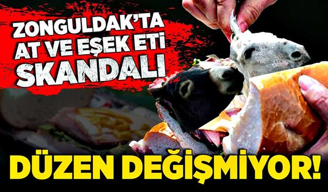 Zonguldak’ta at ve eşek eti skandalı!  Düzen değişmiyor!