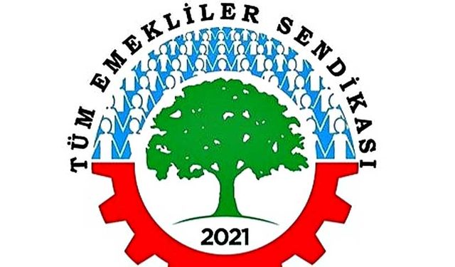 Emekliler sahaya iniyor