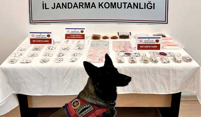 Araçlarında uyuşturucu madde ile yakalanan 2 şahıs tutuklandı