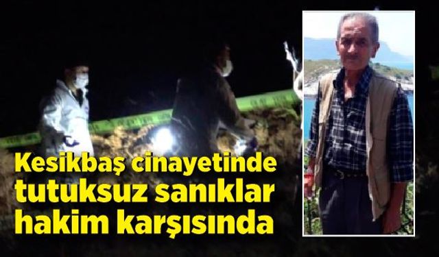 Çaycuma'da kesikbaş cinayetinde tutuksuz sanıklar hakim karşısında