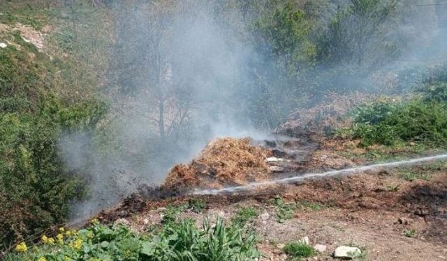 Yol kenarındaki çürümüş samanlar alev aldı