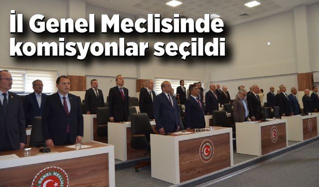 İl Genel Meclisinde komisyonlar seçildi