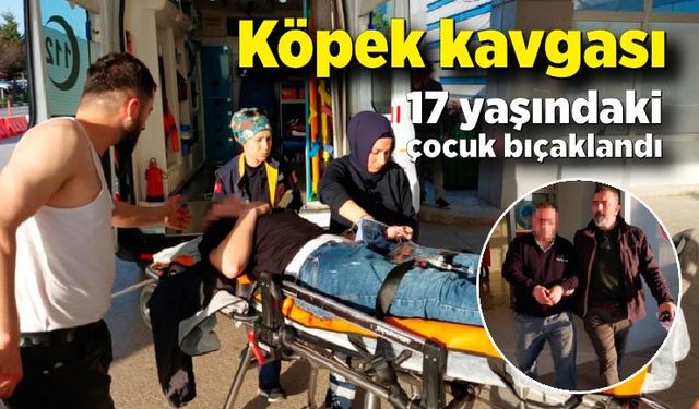 Otobüs yazıhanesindeki köpek kavgası! 17 yaşındaki çocuk bıçaklandı