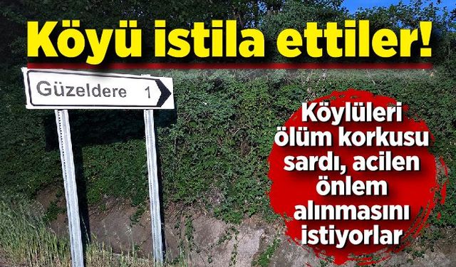 Köyü istila ettiler, her yerden çıkıyorlar; Köylüler yetkilerden yardım istedi