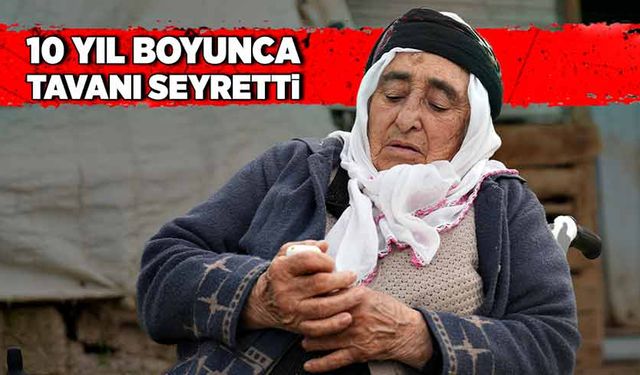 10 yıl boyunca tavanı seyretti