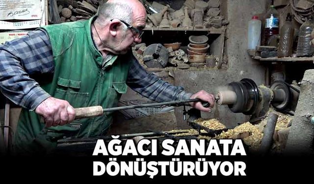 Ağacı sanata dönüştürüyor