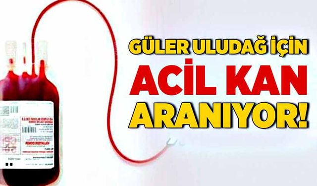 Güler Uludağ için kan aranıyor!