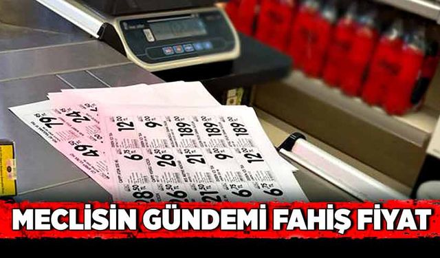 Meclisin gündemi fahiş fiyat