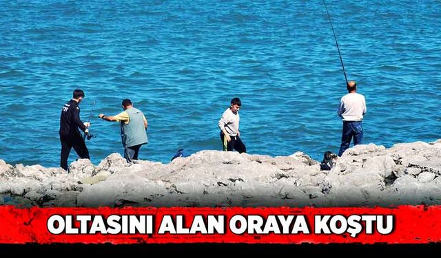 Oltasını alan oraya koştu!