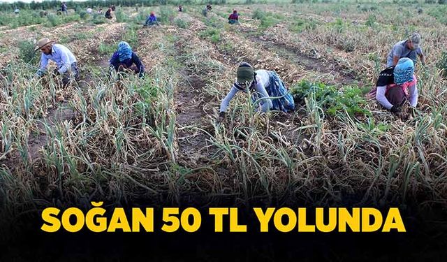 Soğan 50 TL yolunda