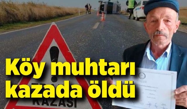 Köy muhtarı geçirdiği trafik kazasında hayatını kaybetti