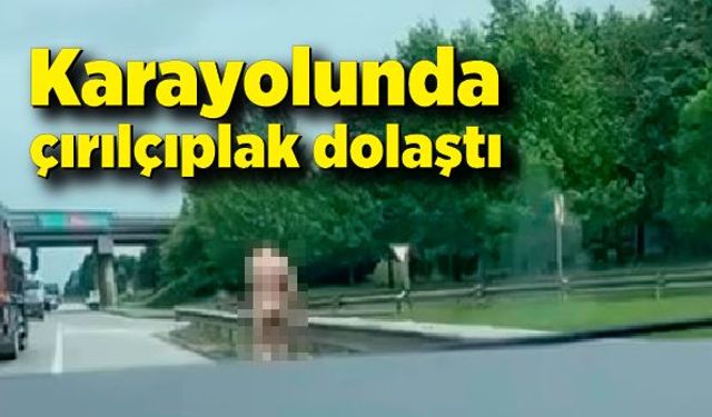 Kocaeli'de ilginç görüntü: Karayolunda çırılçıplak dolaştı