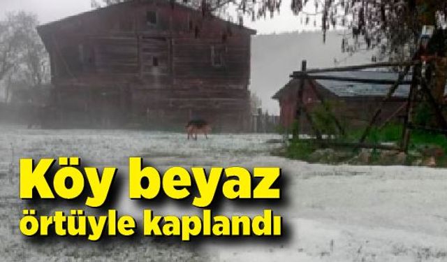 Köy beyaz örtüyle kaplandı