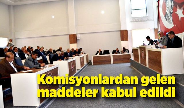 Komisyondan gelen maddeler kabul edildi