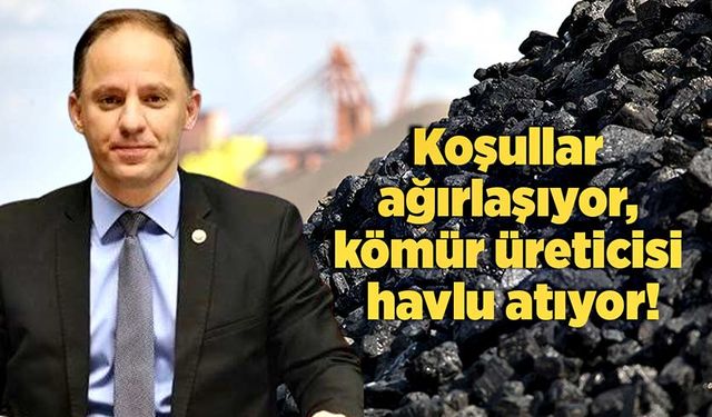 Koşullar ağırlaşıyor, kömür üreticisi havlu atıyor!