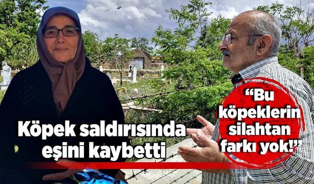 Bu köpeklerin silahtan farkı yok! Eşini köpek saldırısında kaybetti