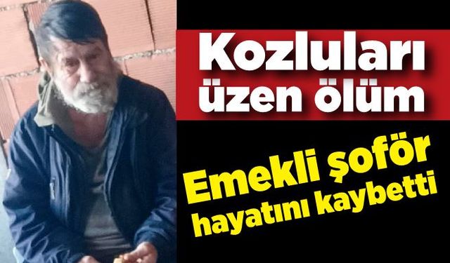 Emekli şoför hayatını kaybetti