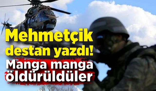 Mehmetçik Irak'ta destan yazdı! Manga manga öldürüldüler