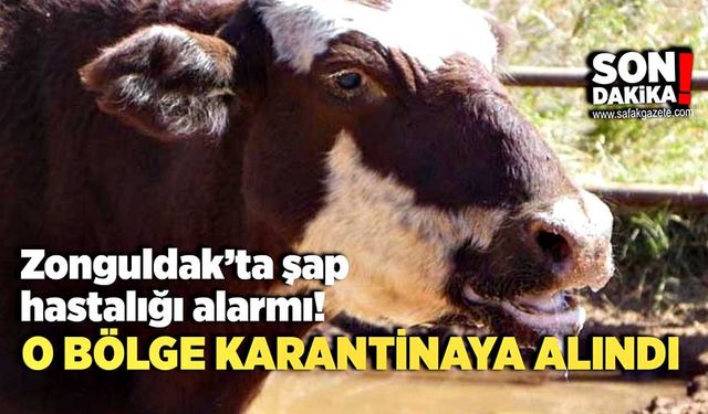 Zonguldak’ta şap hastalığı alarmı: O bölgeler karantinaya alındı