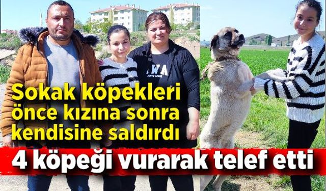 Sokak köpekleri okuldan eve dönen kıza saldırdı