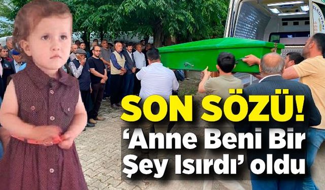 Son sözü 'Anne beni bir şey ısırdı' olan 5 yaşındaki çocuk hayatını kaybetti