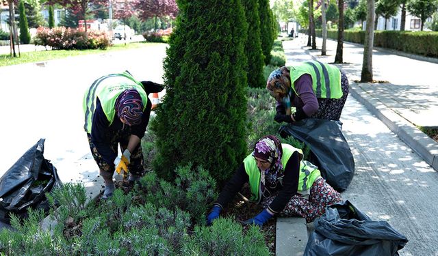 Park ve bahçelere kadın eli değdi