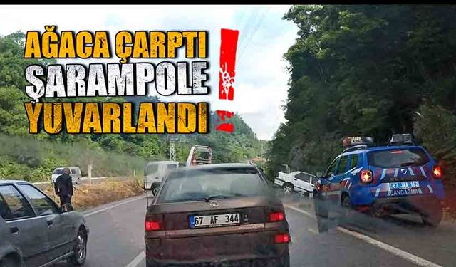 Ağaca çarptı! Şarampole yuvarlandı!