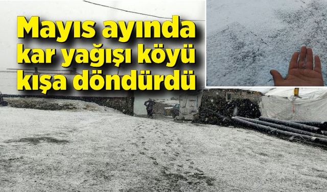 Mayıs ayında kar yağışı köyü kışa döndürdü