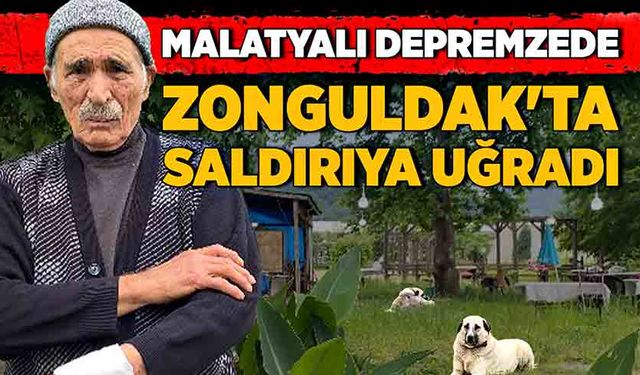 Malatyalı depremzede Zonguldak'ta saldırıya uğradı