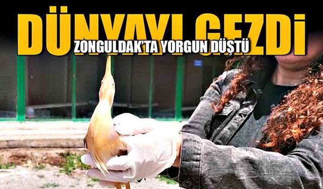 Dünyayı gezdi, Zonguldak’ta yorgun düştü