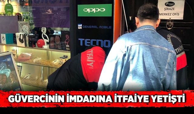 Güvercinin imdadına itfaiye yetişti