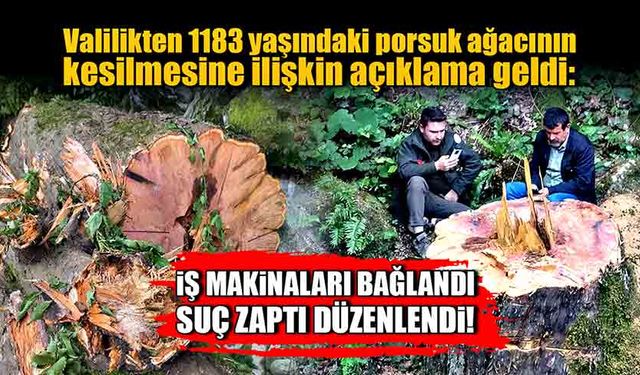 Valilikten 1183 yaşındaki porsuk ağacının kesilmesine ilişkin açıklama: Suç zaptı düzenlendi! İş makinaları bağlandı!