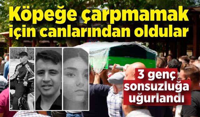 Köpeğe çarpmamak için kendi canlarından oldular