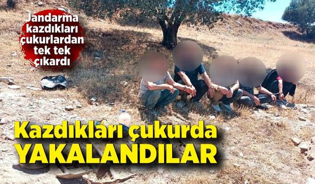 Jandarma definecileri kazdıkları çukurda yakaladı