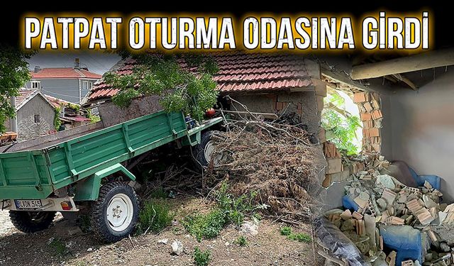 Patpat oturma odasına girdi!