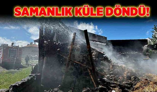 Samanlık küle döndü!