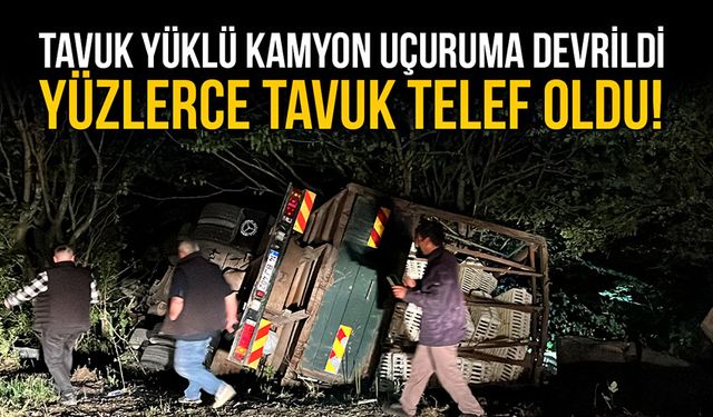 Tavuk yüklü kamyon uçuruma devrildi, yüzlerce tavuk telef oldu