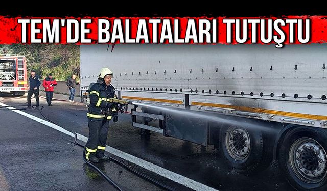 TEM'de balataları tutuştu