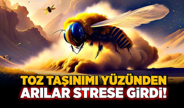 Toz taşınımı arıları strese soktu!