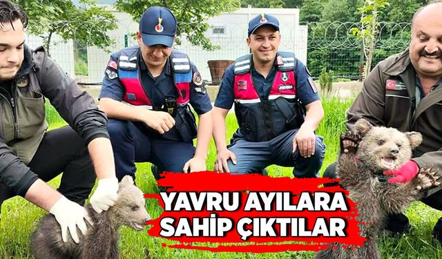 Annelerinden uzak kalan yavru ayılara ekipler sahip çıktı