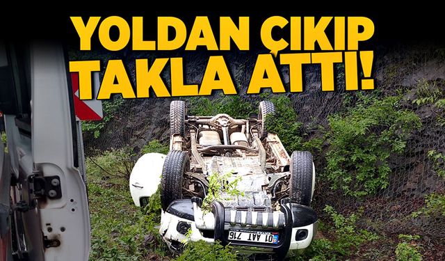 Yoldan çıkıp takla attı!