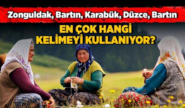 Zonguldak, Bartın, Karabük, Düzce, Bartın En çok hangi kelimeyi kullanıyor?