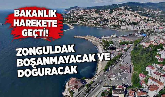 Bakanlık harekete geçti! Zonguldak boşanmayacak ve doğuracak