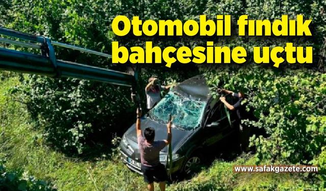 Otomobil fındık bahçesine uçtu