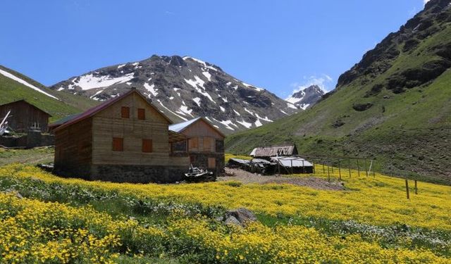 Dulağa Yaylası'nın Alpler'i aratmayan güzelliği