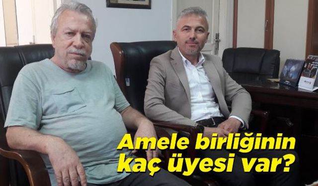 Amele birliğinin kaç üyesi var?