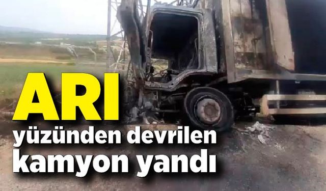 Arı yüzünden devrilen kamyon yandı