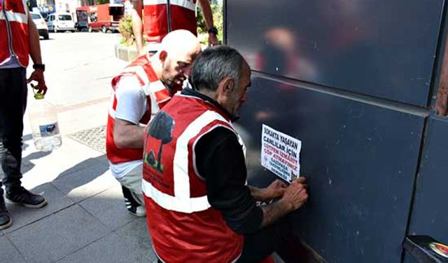 Tartışmalara inat sokak hayvanlarına sahip çıktılar