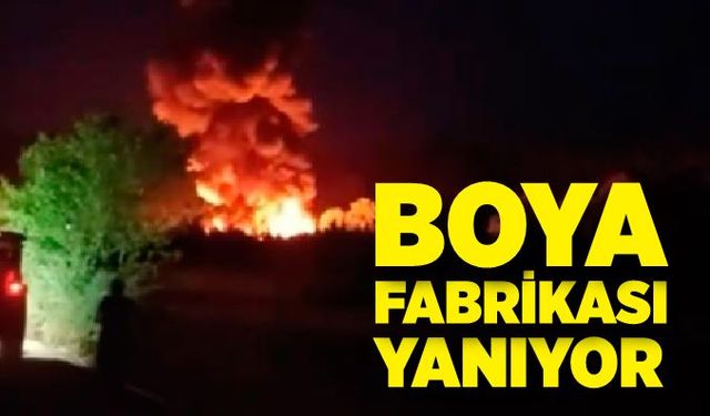 Boya fabrikası yanıyor